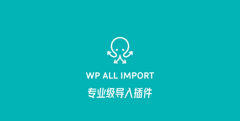 WP All Import Pro v4.8.0 汉化版 - WordPress导入插件